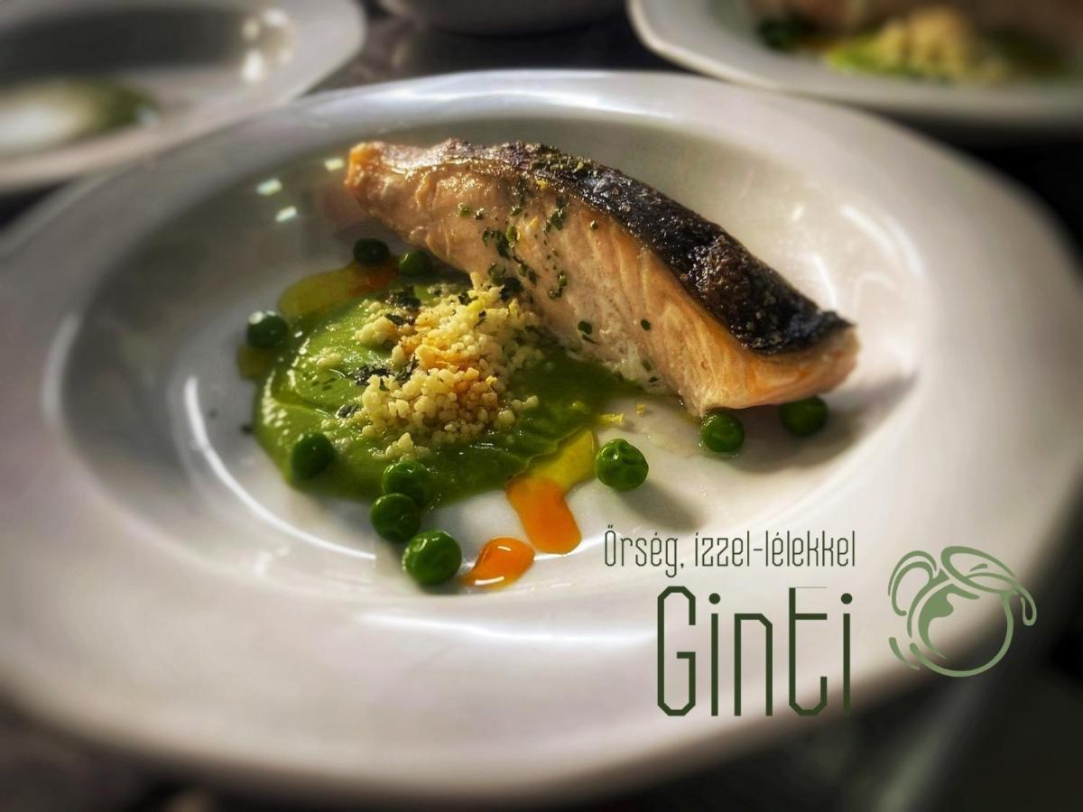 Ginti Panzio, Orseg Otel Magyarszombatfa Dış mekan fotoğraf