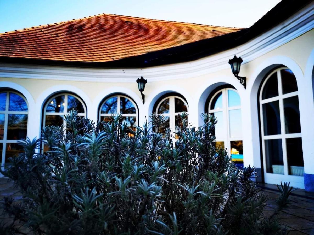 Ginti Panzio, Orseg Otel Magyarszombatfa Dış mekan fotoğraf