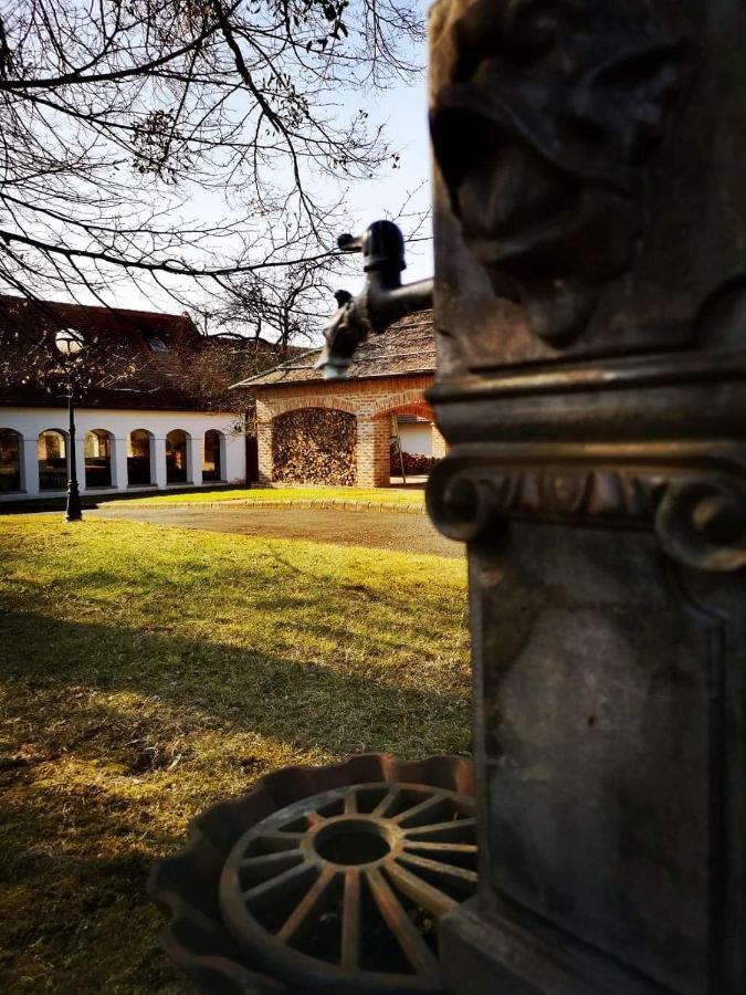 Ginti Panzio, Orseg Otel Magyarszombatfa Dış mekan fotoğraf